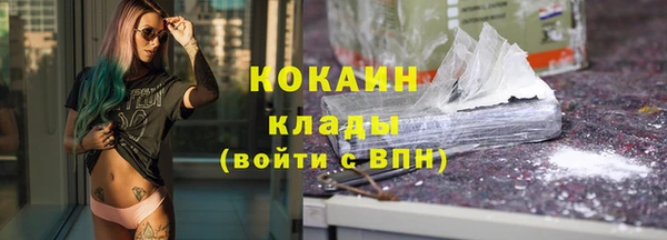 прущие грибы Горно-Алтайск