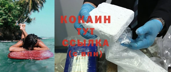 прущие грибы Горно-Алтайск