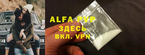 прущие грибы Горно-Алтайск