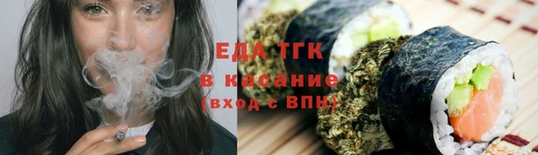 прущие грибы Горно-Алтайск