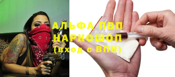 прущие грибы Горно-Алтайск