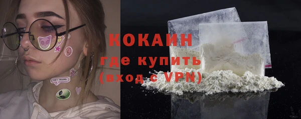 прущие грибы Горно-Алтайск
