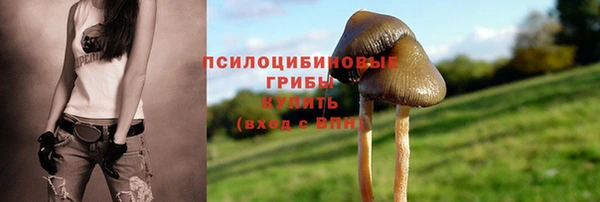 мет Горнозаводск