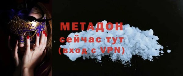 прущие грибы Горно-Алтайск
