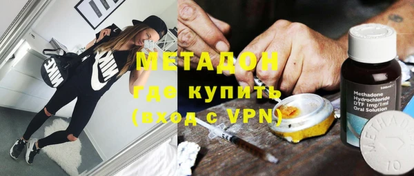 прущие грибы Горно-Алтайск