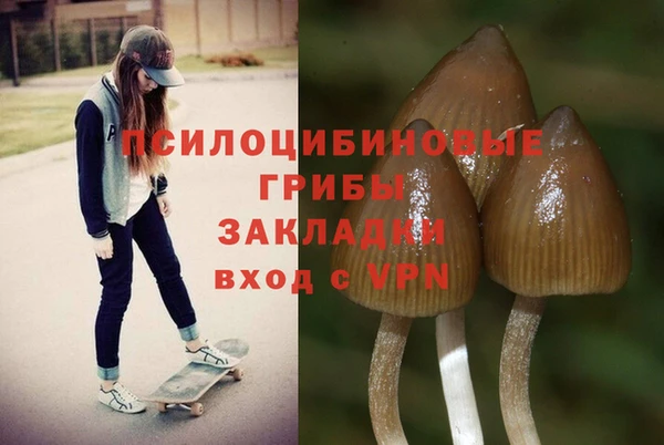 мет Горнозаводск