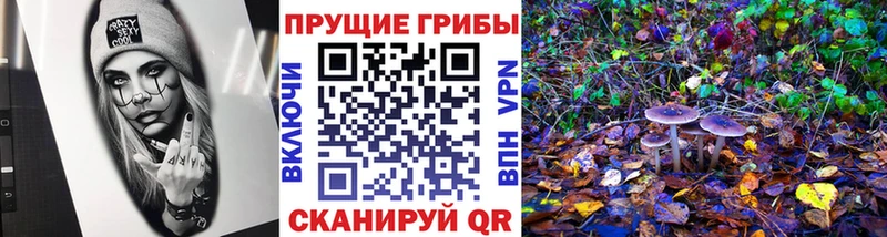 Псилоцибиновые грибы прущие грибы  Зея 