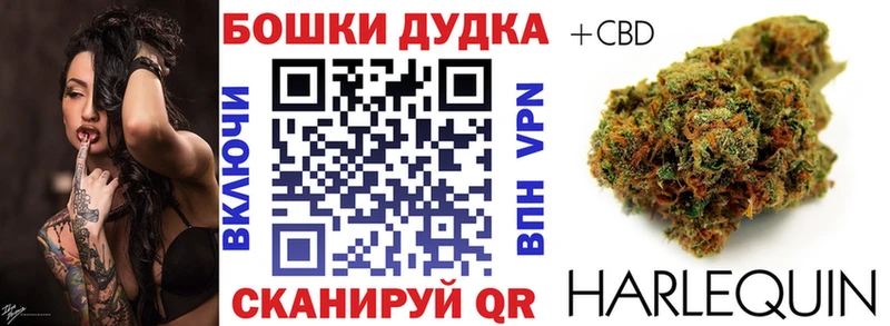 Канабис White Widow  магазин продажи наркотиков  Зея 